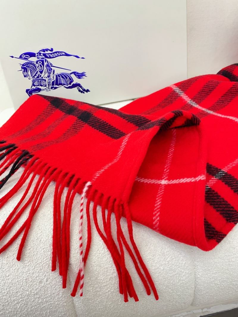 Burberry Caps Scarfs